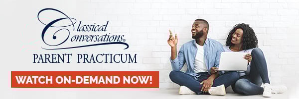 2020_NSLAd_PracticumOnDemand_FINAL