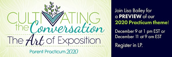 Preview of 2020 Practicum Theme December SR Newsletter